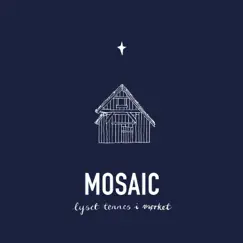Lyset tennes i mørket - Single by Mosaic album reviews, ratings, credits