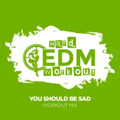 You Should Be Sad (Workout Mix Edit 140 bpm) Song Lyrics