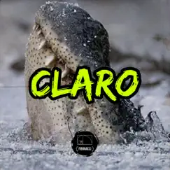 Claro (feat. Ayatollah) - Single by Fibonacci album reviews, ratings, credits