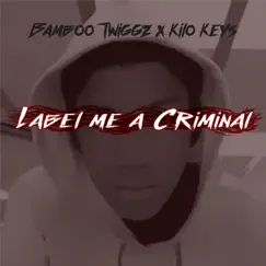 Label Me a Criminal (feat. Kilo Keys) Song Lyrics