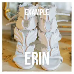 Erin - Single by Example album reviews, ratings, credits