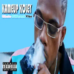 Whole Different Vibe - Single by Kameup Koley album reviews, ratings, credits