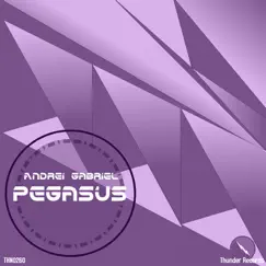 Pegasus - Single by Andrei Gabriel album reviews, ratings, credits
