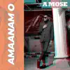 Amaanam O - Single album lyrics, reviews, download