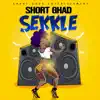 Sekkle - Single album lyrics, reviews, download