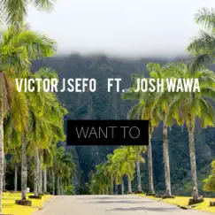 Want To (feat. J Wawa) Song Lyrics