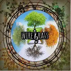 Instrumental Seasons by Wiregrass album reviews, ratings, credits
