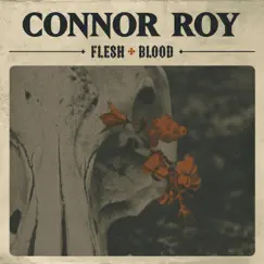 Flesh & Blood Song Lyrics