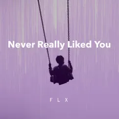 Never Really Liked You - Single by FLX album reviews, ratings, credits