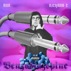 Benzodiazepine - Single by Rub & Richard C. album reviews, ratings, credits