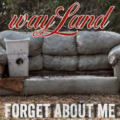 Forget About Me - Single by Wayland album reviews, ratings, credits