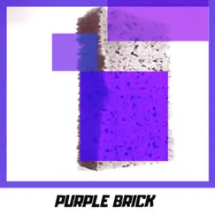 Danger Zone Disco - Single by Purple Brick album reviews, ratings, credits