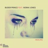 Healing (feat. Norah Jones) - Single album lyrics, reviews, download