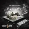 Do What I Want (feat. Lul Jr) - Single album lyrics, reviews, download