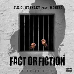 Fact or Fiction (feat. Moniro) - Single by T.K.O. Stanley album reviews, ratings, credits