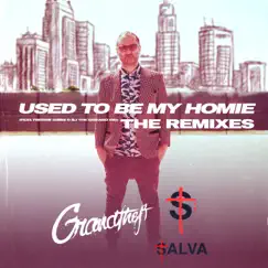 Used to Be My Homie - Salva Remix (feat. Freddie Gibbs & BJ the Chicago Kid) Song Lyrics