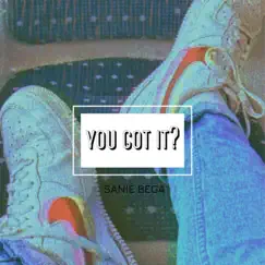 You Got It? - Single by Sanie Bega album reviews, ratings, credits