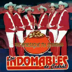 Me Persigue Tu Sombra - Single by Los Indomables De Cedral album reviews, ratings, credits