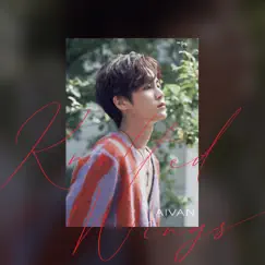 Knotted Wings (English Version) Song Lyrics