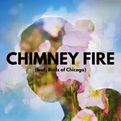 Chimney Fire (feat. Birds of Chicago) - Single by Sway Wild album reviews, ratings, credits