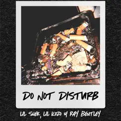 Do Not Disturb (feat. Ray Bentley & Lil Kozo) Song Lyrics