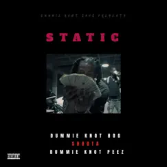 Static (feat. DummieKnot Peez & Shoota) Song Lyrics