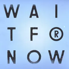 Wait for Now (feat. Tawiah) Song Lyrics