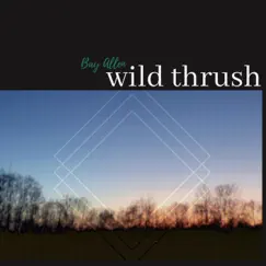 Wild Thrush - Single by Bay Allen album reviews, ratings, credits