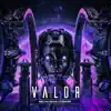 Valor - Single album lyrics, reviews, download