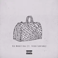 Her Money Bag (feat. Fredo Santana) - Single by Devin album reviews, ratings, credits