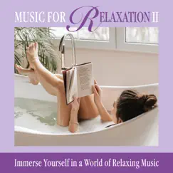 Music for Relaxation, Vol. 2 (feat. Stuart Jones, Patricia Spero, John Buckley & Mat McLean) by Various Artists album reviews, ratings, credits