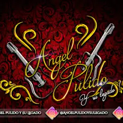 Los Drones - Single by Angel Pulido Y Su Legado album reviews, ratings, credits