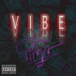 Vibe Tingz - Single by Aco Nasa album reviews, ratings, credits
