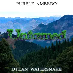 Untamed - Single by Dylan Watersnake & Purple Ambedo album reviews, ratings, credits