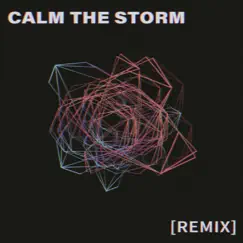 Calm the Storm (Vivian Lawrence Remix) Song Lyrics