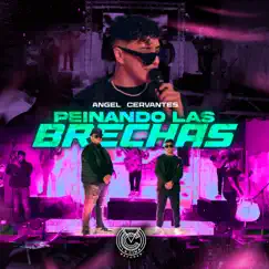 Peinando las Brechas (En Vivo) - Single by Angel Cervantes album reviews, ratings, credits