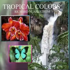 Tropic Heat - Single by Richard N. Ahlstrom album reviews, ratings, credits