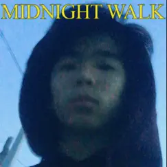 Midnight Walk - Single by Aseekmars album reviews, ratings, credits