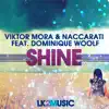 Shine (feat. Dominique Woolf) [Kill Your Tv Remix] song lyrics