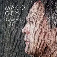 Elämän puu - Single by Maco Oey album reviews, ratings, credits