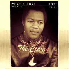 What's Love/Joy - Single by The Cranes album reviews, ratings, credits
