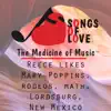 Reece Likes Mary Poppins, Rodeos, Math, Lordsburg, New Mexico song lyrics