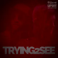 Trying 2 See - Single by Lycouz & DW Underground album reviews, ratings, credits