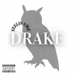 Feelin like Drake - Single by TAYLOR. album reviews, ratings, credits