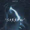 Sorrow. - Single album lyrics, reviews, download