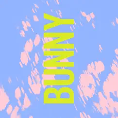 Bunny - Single by Tourist album reviews, ratings, credits