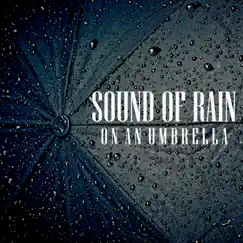 Sound of Rain on an Umbrella, Pt. 51 Song Lyrics