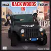 Backwoods in Venice (feat. TN$ray) - Single album lyrics, reviews, download