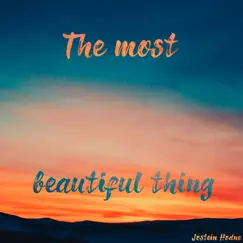 The Most Beautiful Thing - Single by Jostein Hodne album reviews, ratings, credits