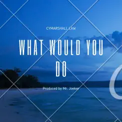 What Would You Do - Single by Cymarshall Law album reviews, ratings, credits